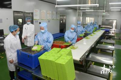 南方觀察|博羅啟動“鏈長制”，首發者為何是食品添加劑產業？